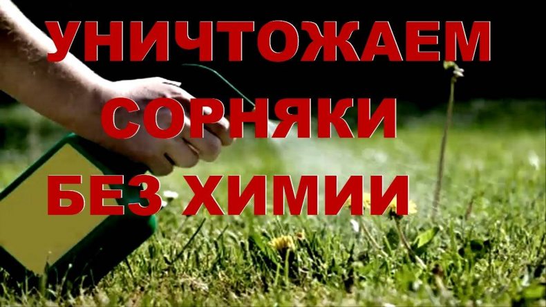 Уксус и соль против сорняков: рецепты, пропорции, ТОП-10 эффективных ...